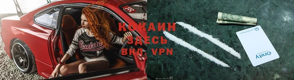 соль ск Козловка
