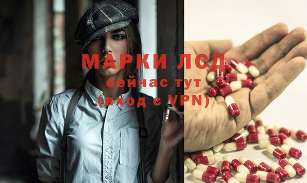 spice Кинешма