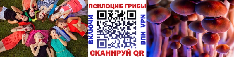 hydra зеркало  Княгинино  Галлюциногенные грибы Psilocybe 